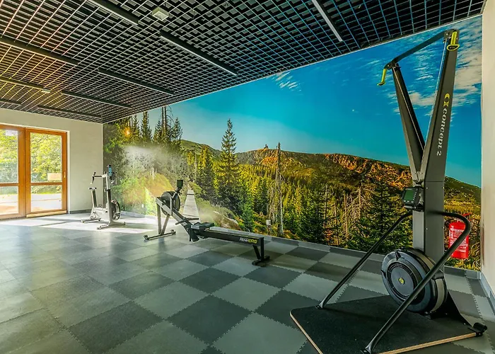 Rentplanet - Park Apartment Schreiberhau